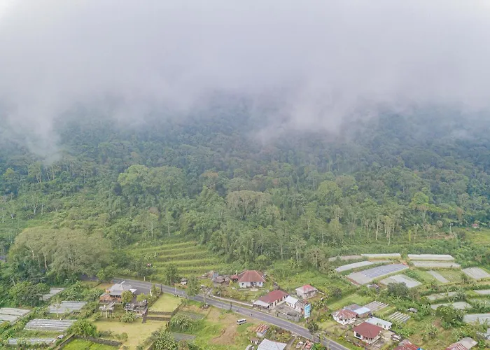 Four Monkeys House By Bukit Vista Villa Bedugul (Bali)