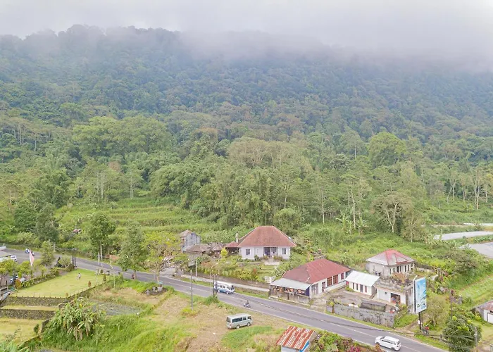 Villa Four Monkeys House By Bukit Vista Bedugul (Bali)