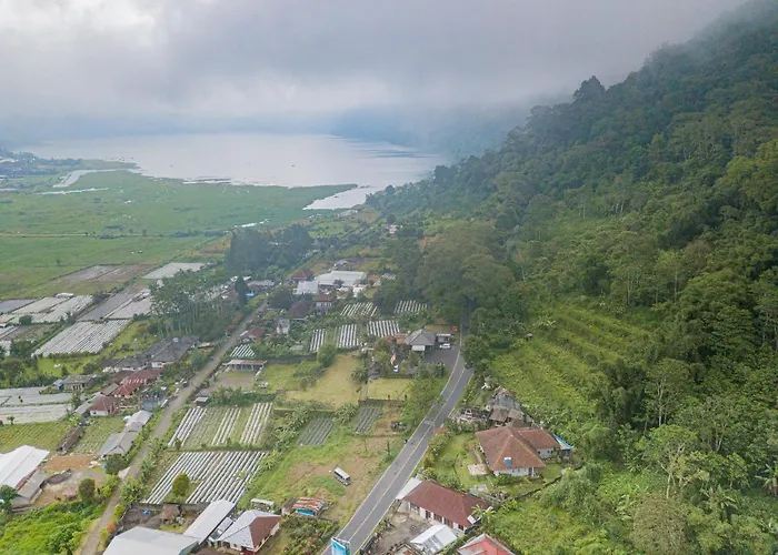 Villa Four Monkeys House By Bukit Vista Bedugul (Bali)